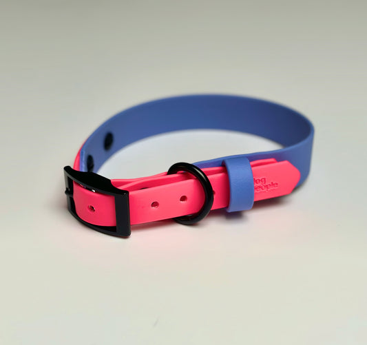 The Sighthound Collar Custom - 1"