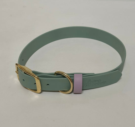 The Buckle Collar