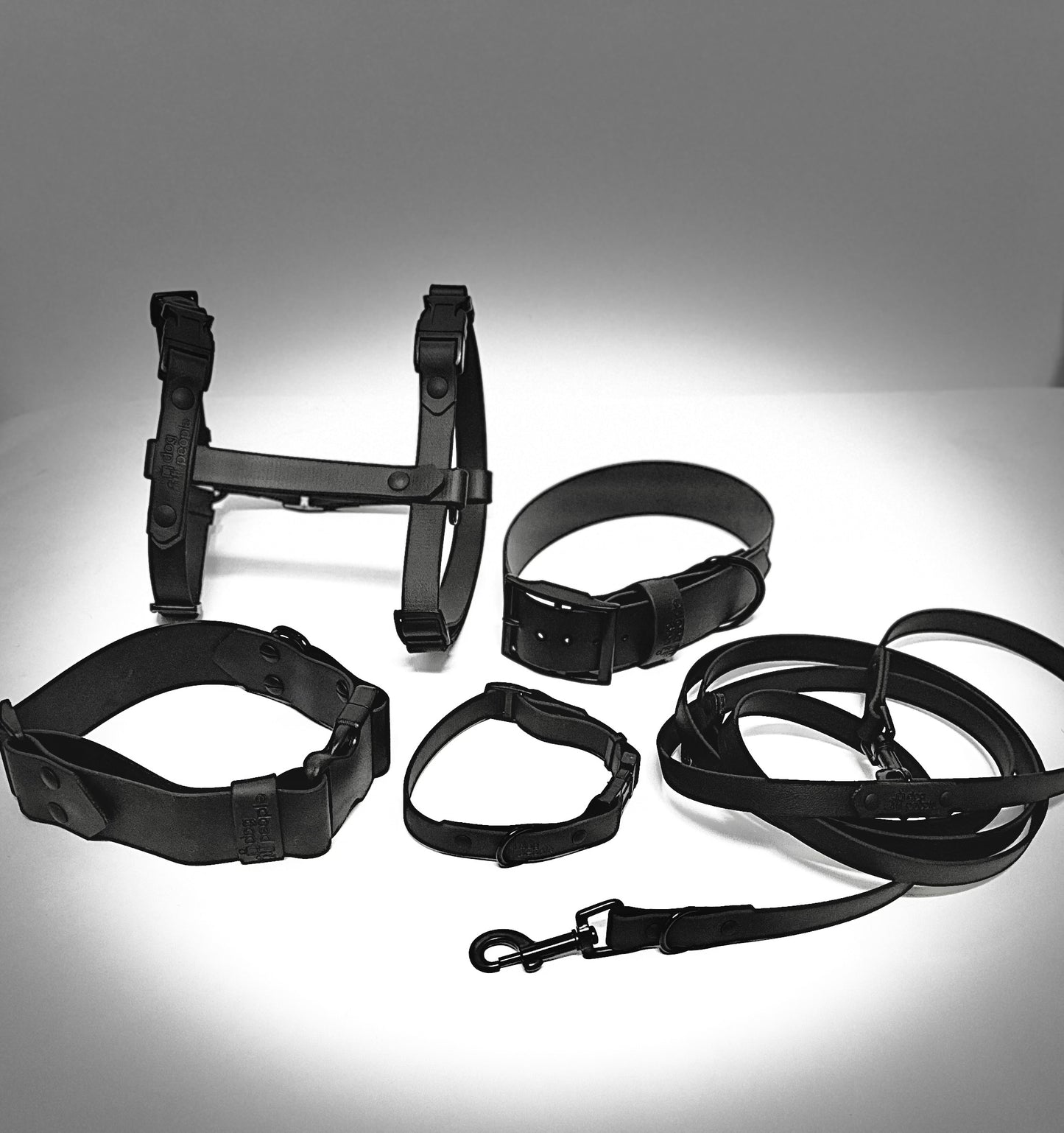 The Blackout Harness