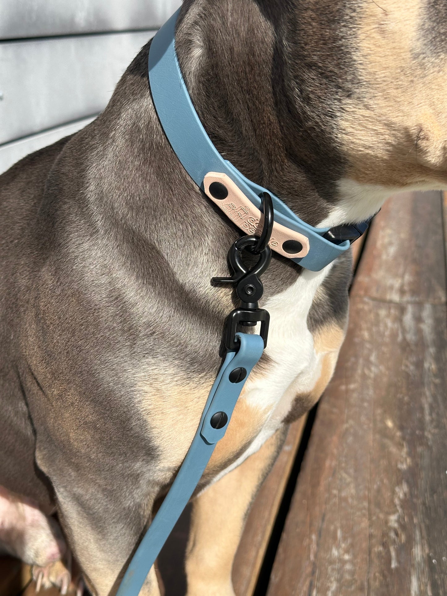 Limited Edition - The Beach Quick Release Collar